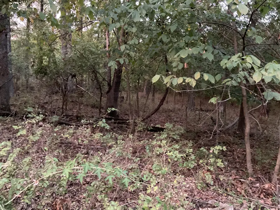 000-Trct 4 N Farm Road 89, Springfield, MO 65802 - Image #2