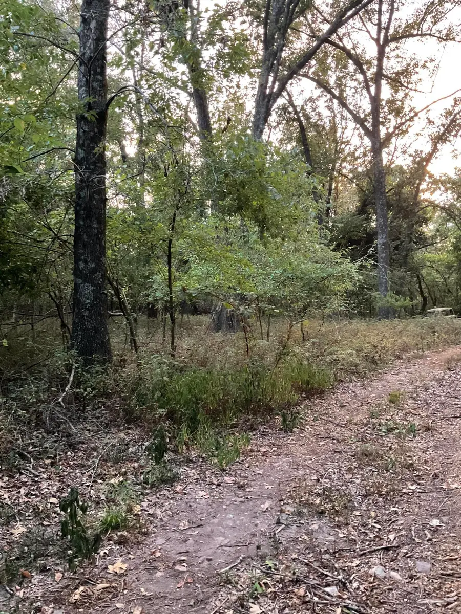 000-Trct 4 N Farm Road 89, Springfield, MO 65802 - Image #3