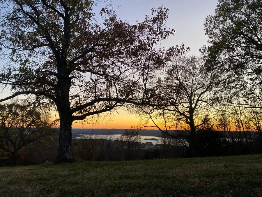 Tbd Emerald Crest -47 Acres, Hollister, MO 65672 - Image #2