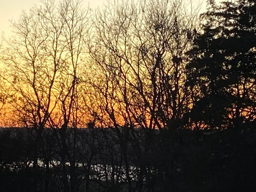 Tbd Emerald Crest -47 Acres, Hollister, MO 65672 - Image #3