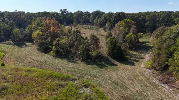 2-C White Ash Road, Highlandville, MO 65669