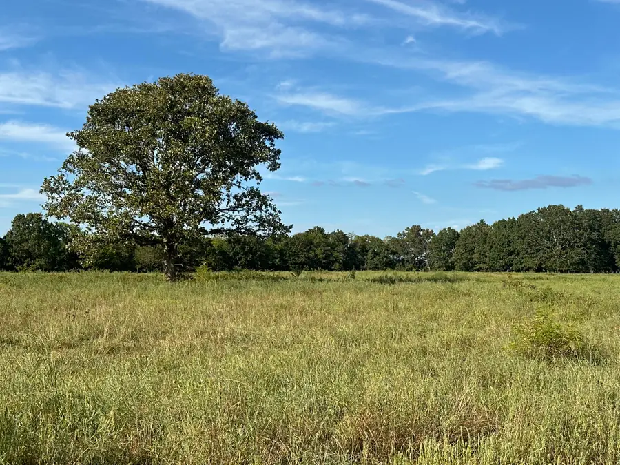 000 Grimes Mill Drive, Mountain Grove, MO 65711 - Image #3