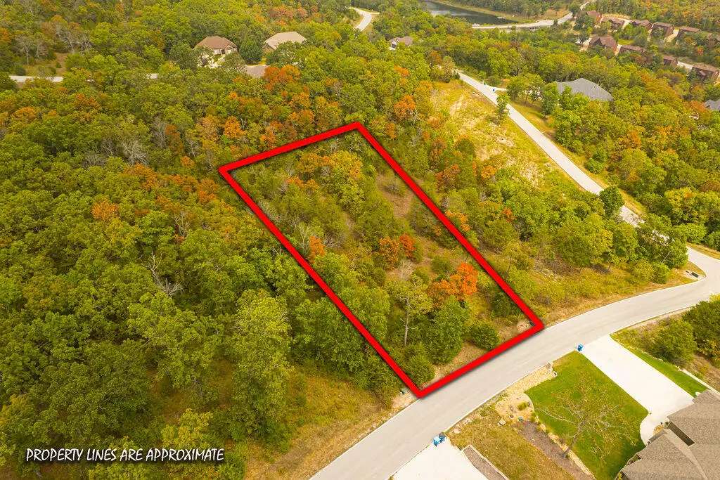 207 Black Forest Lane, Branson West, MO 65737 - Image #1