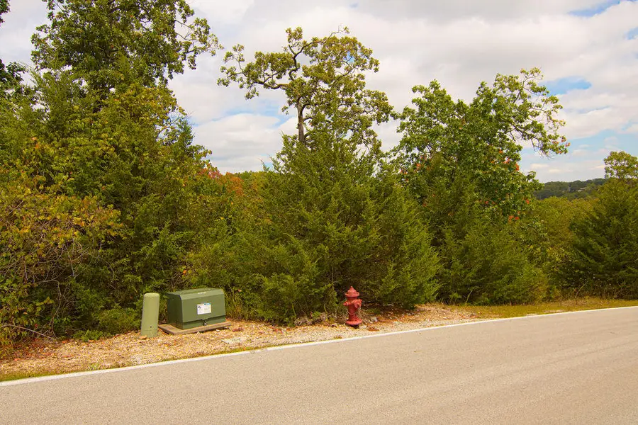 207 Black Forest Lane, Branson West, MO 65737 - Image #3