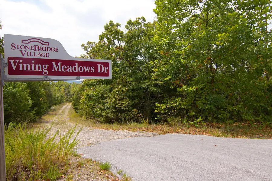 Tbd Vining Meadows Drive, Branson West, MO 65737 - Image #2