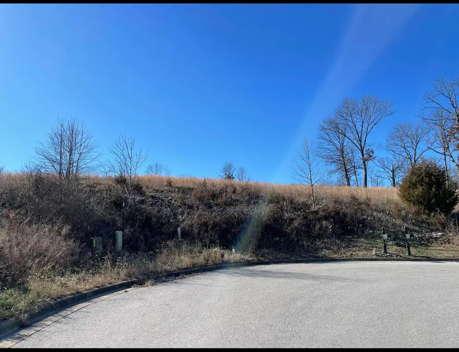 Lot 96 Stone Valley Estates, Branson, MO 65616 - #2