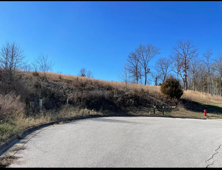 Lot 96 Stone Valley Estates, Branson, MO 65616 - #3