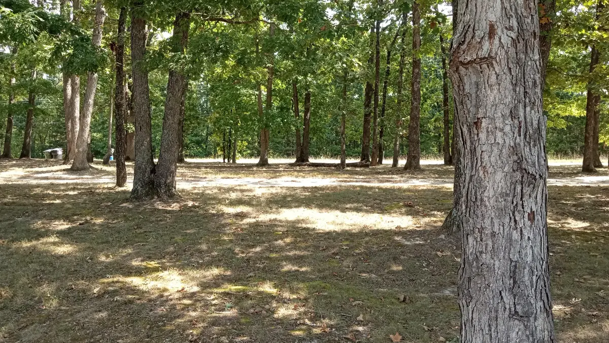 524 State Road F, Elkland, MO 65644 - Image #1