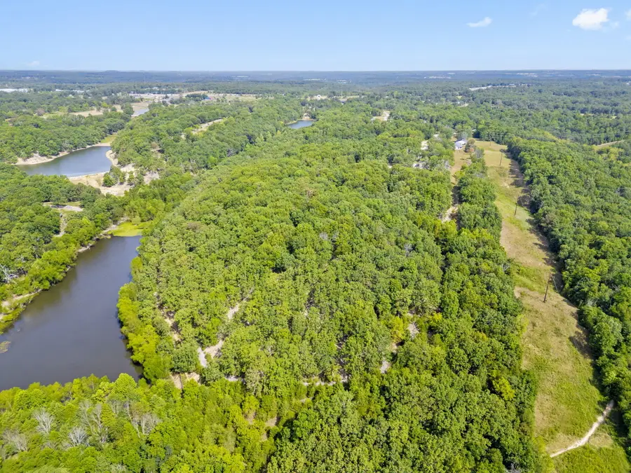 000 Buena Vista Parkway, Strafford, MO 65757 - Image #2