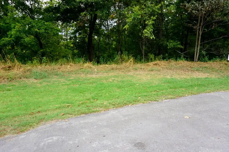 Lot 11 Oak Bluff Road, Branson, MO 65616 - Image #1