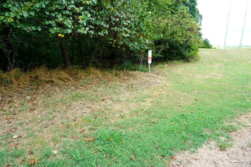 Lot 11 Oak Bluff Road, Branson, MO 65616 - Image #2