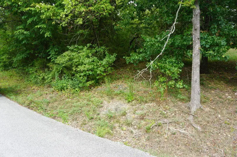 Lot 46 Cannon Ball Loop, Branson, MO 65616 - Image #1