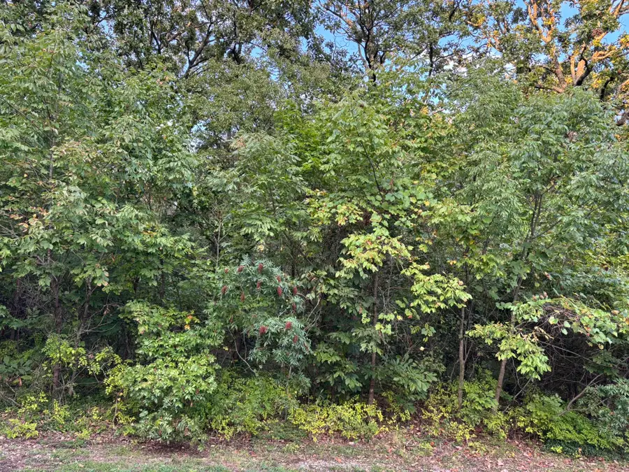 000 SE 75th Terrace, Riverton, KS 66770 - Image #2