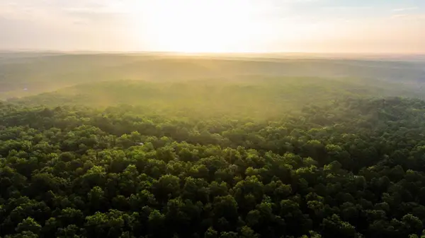 000 Y-617, Birch Tree, MO 65438