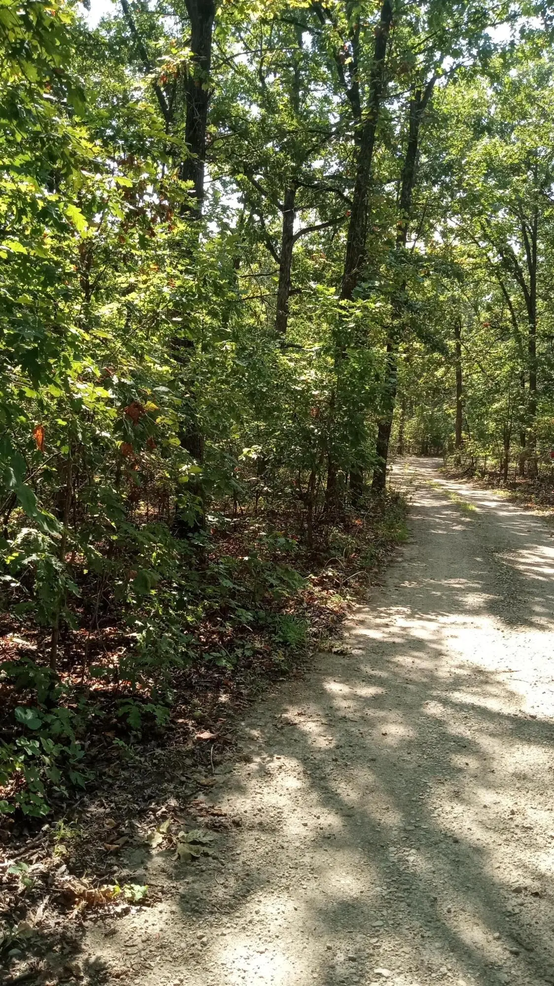 89 Middle Earth Trail, Louisburg, MO 65685 - #1