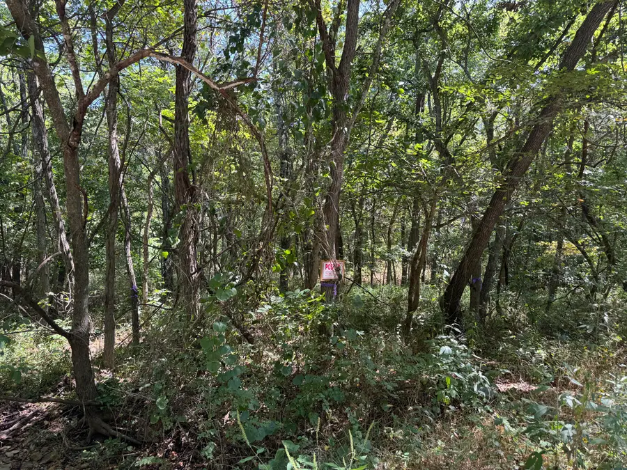 000 S 70th Road, Humansville, MO 65674 - Image #2