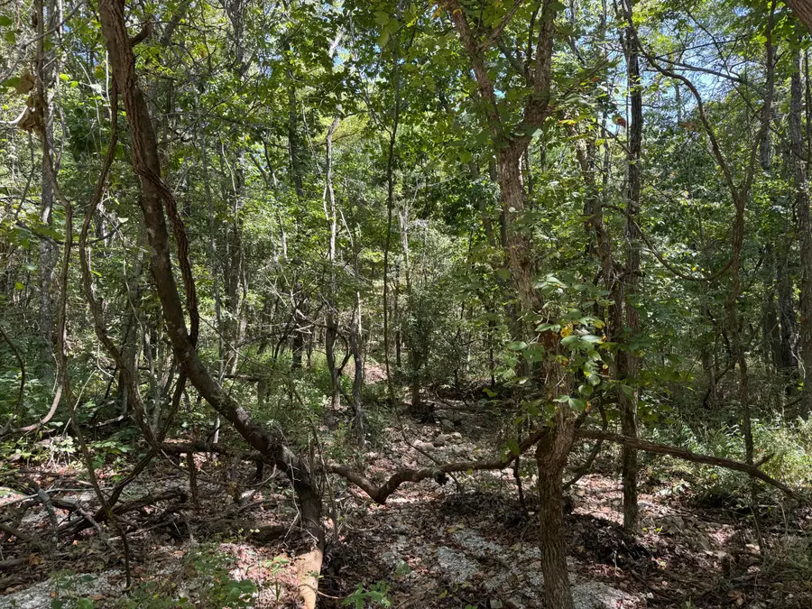 000 S 70th Road, Humansville, MO 65674 - Image #3