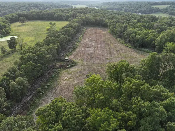 000 Old 60 Drive- Tract 1, Seneca, MO 64865