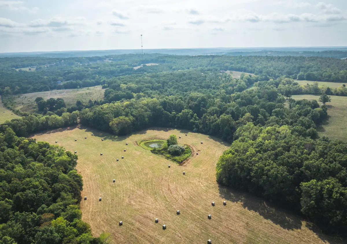 000 Hwy Ff, Edgar Springs, MO 65462 - Image #1