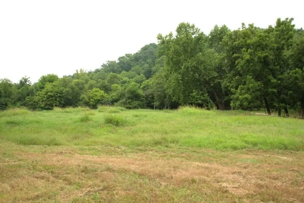10.75acres Younkers Lane, Noel, MO 64854 - Image #1