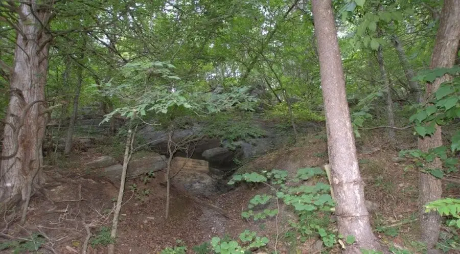 10.75acres Younkers Lane, Noel, MO 64854 - Image #3