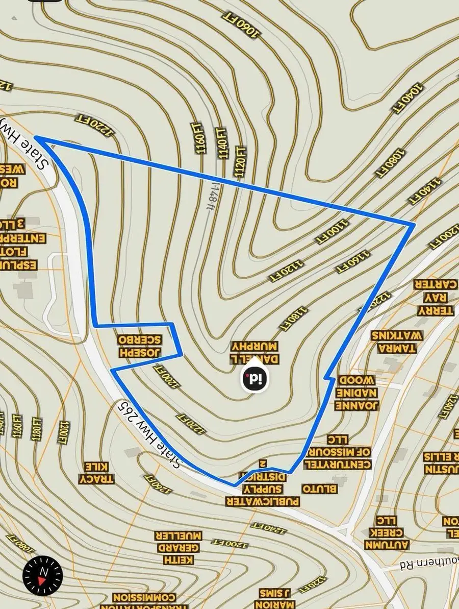 3839 State Highway 265, Branson, MO 65616 - #3