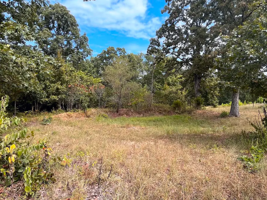 11 Wilderness Trail, Tunas, MO 65764 - Image #2