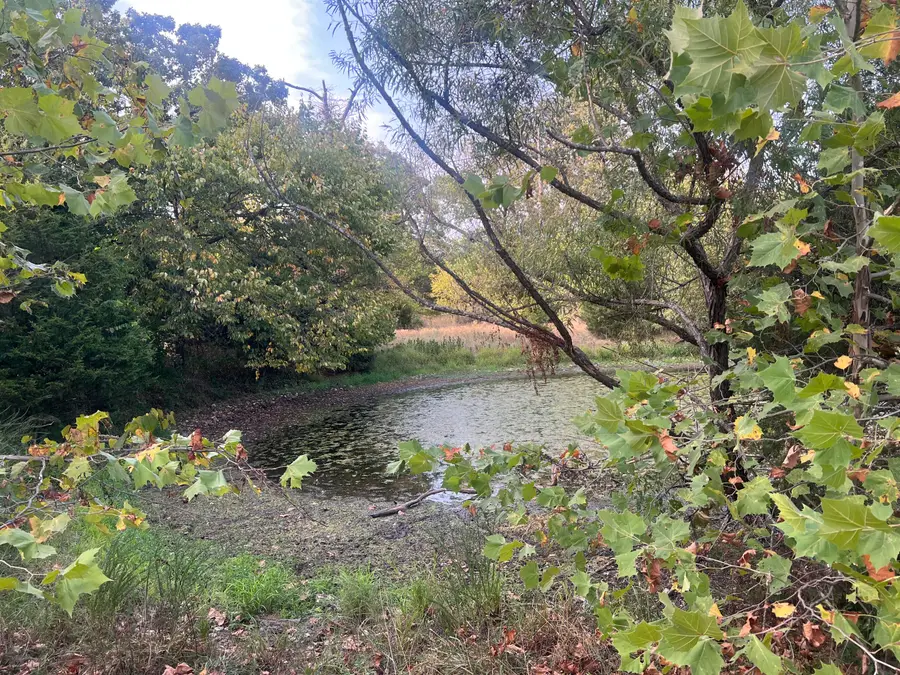 002 S 19th Road, Fair Play, MO 65649 - Image #2