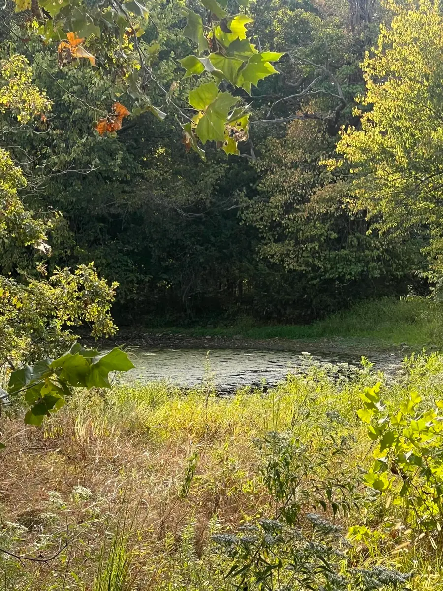 002 S 19th Road, Fair Play, MO 65649 - Image #3