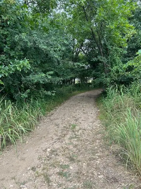 2198 W Zora Street, Joplin, MO 64801 - Image #3