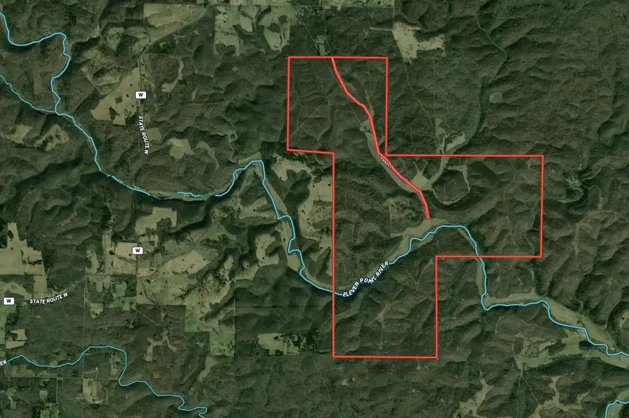 Tbd County Road 443, Birch Tree, MO 65438 - Image #2