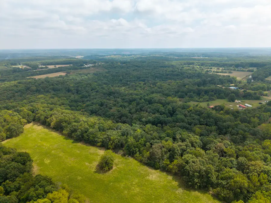 000 Richwood School House Road, Clever, MO 65631 - Image #3