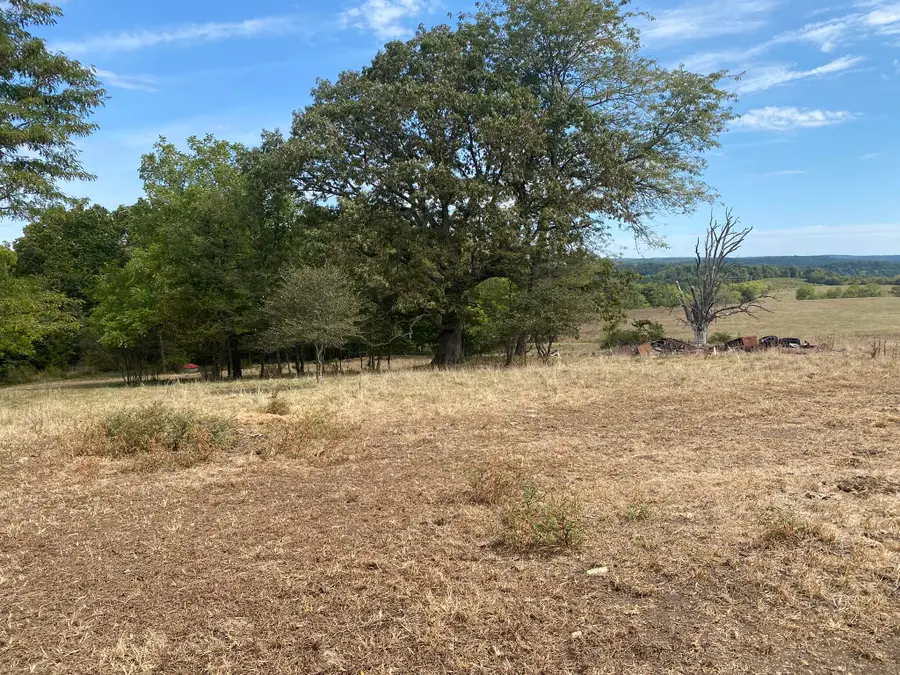 10232 County Road 211-east 76, Ava, MO 65608 - Image #3