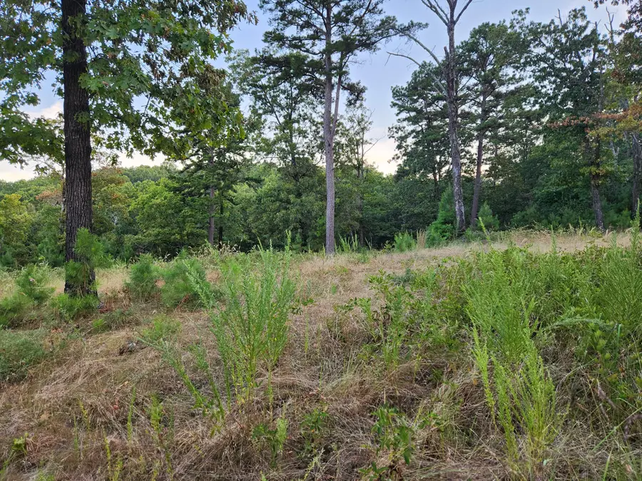 000 Peace Lane, Ridgedale, MO 65739 - Image #3