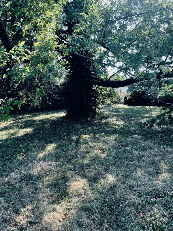 502 W Kearney Street, Springfield, MO 65803