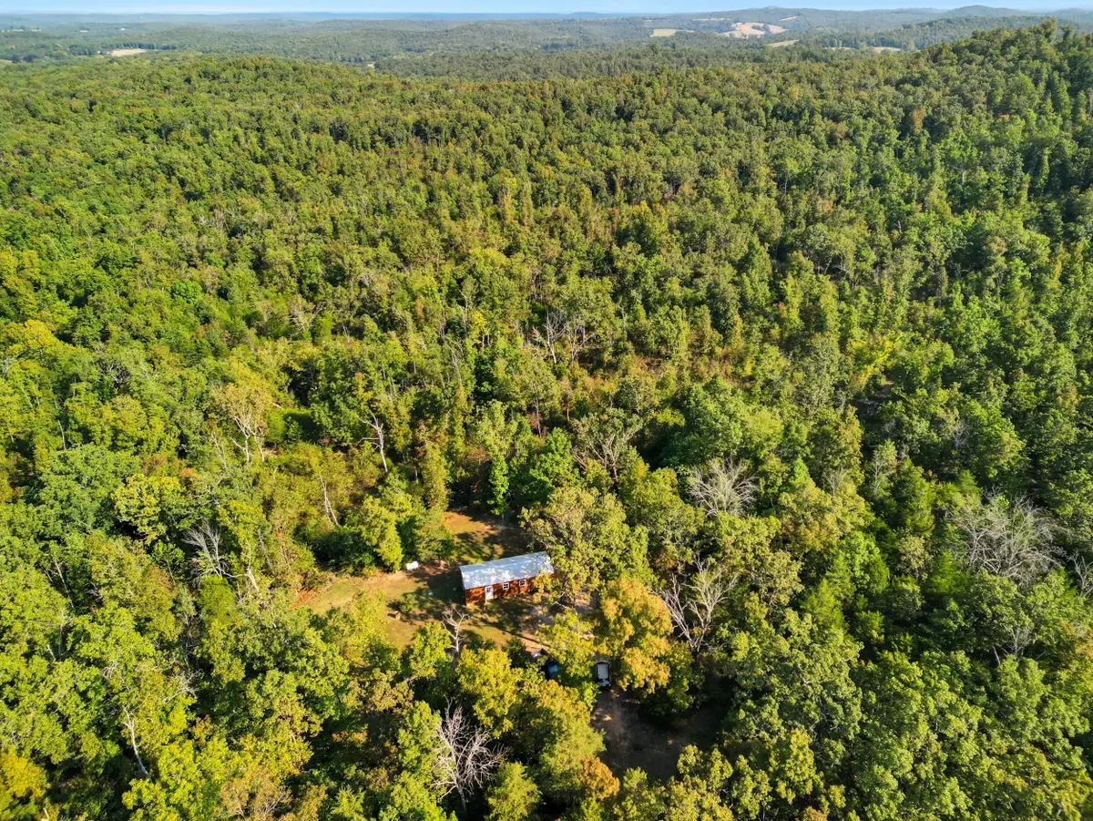 Rr 1 Box 2518, Dora, MO 65637 - Image #1