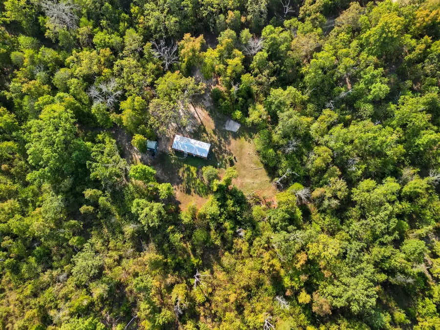 Rr 1 Box 2518, Dora, MO 65637 - Image #3