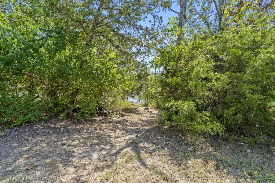 54 Lindal Cedar Lane, Branson, MO 65616 - #2