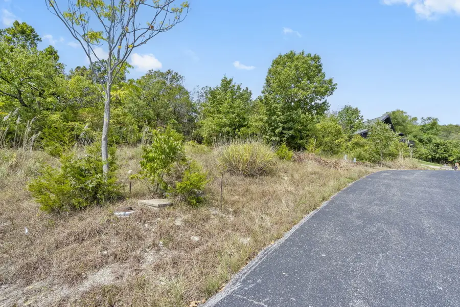 54 Lindal Cedar Lane, Branson, MO 65616 - #3