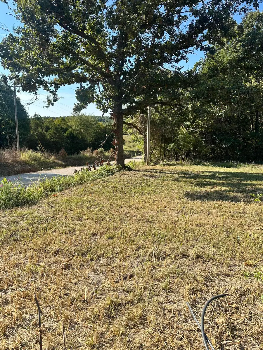 420 E Beal Street, Conway, MO 65632 - Image #3