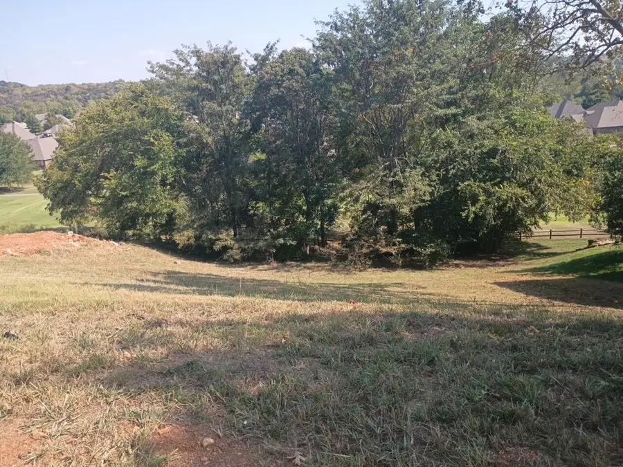 3262 W Bluffview Street, Springfield, MO 65810 - Image #2