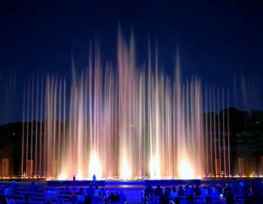 200 S Sycamore Street #H915-A921, Branson, MO 65616 - Image #2