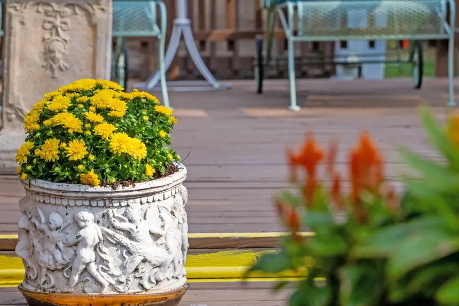 129 Bears Paw Way, Hollister, MO 65672 - Image #3