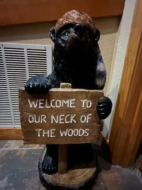 264 Oak Ridge Road, Branson, MO 65616 - Image #1