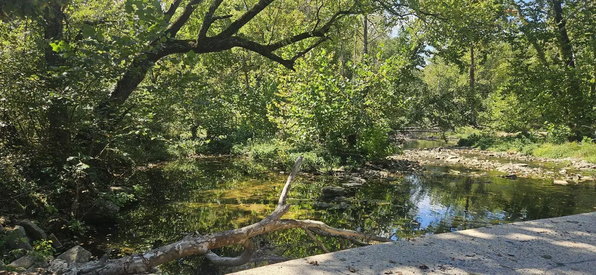 000 Brushy Creek Road, Houston, MO 65483 - Image #1