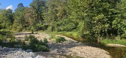 000 Brushy Creek Road, Houston, MO 65483 - Image #3