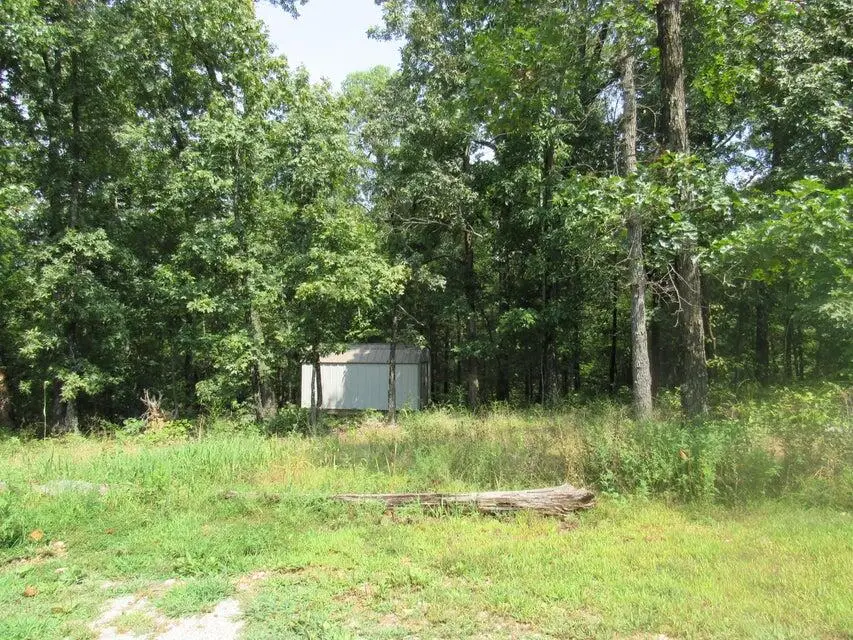 347 Country Farm Drive Drive, Marshfield, MO 65706 - Image #3