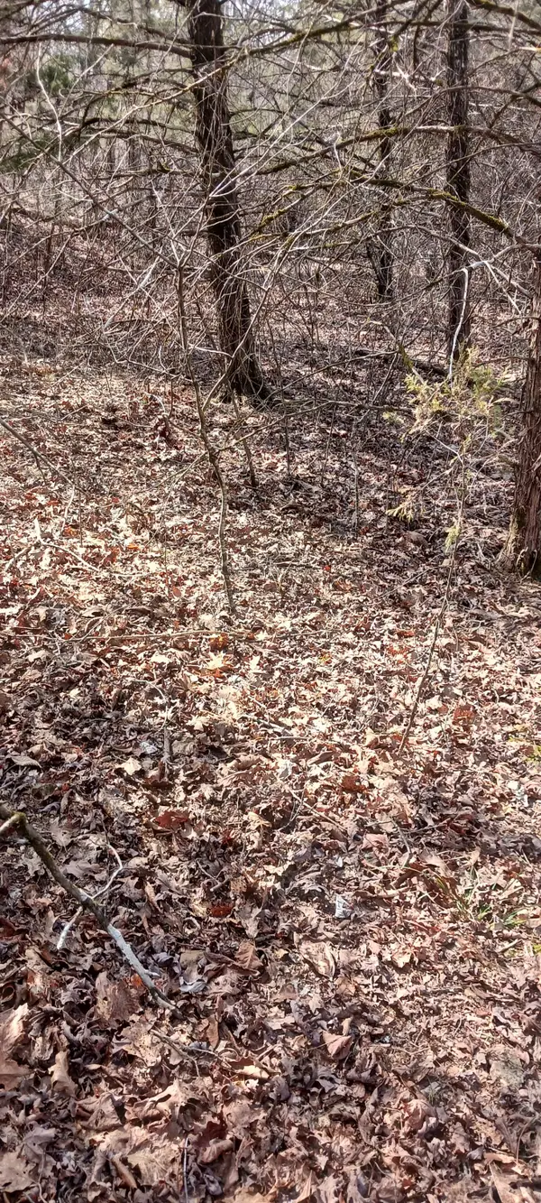 Lot 26 Crestview Drive, Theodosia, MO 65761