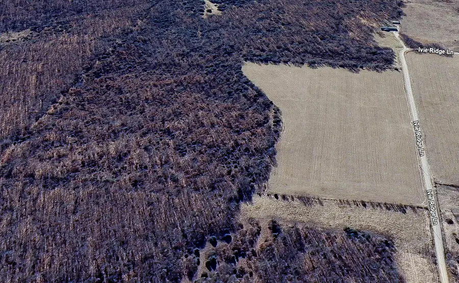 Tbd Ivie Ridge, Niangua, MO 65713 - Image #3