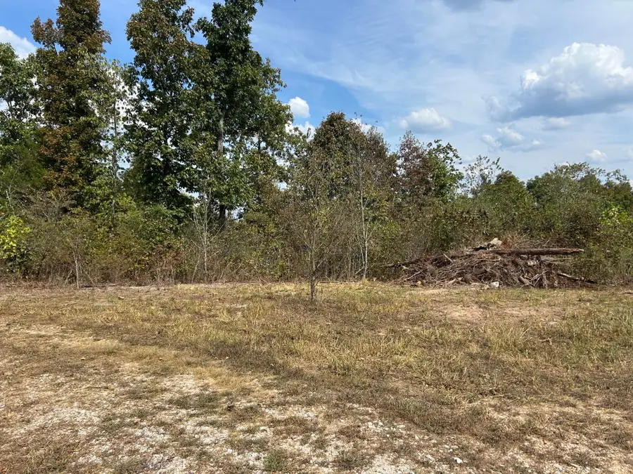 Hc 73 Box 4925 (track 20), Ava, MO 65608 - Image #3